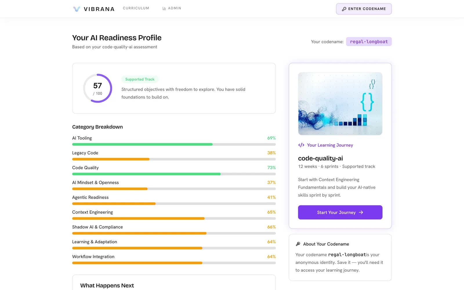 A participant's AI-readiness profile with a composite score and category breakdown