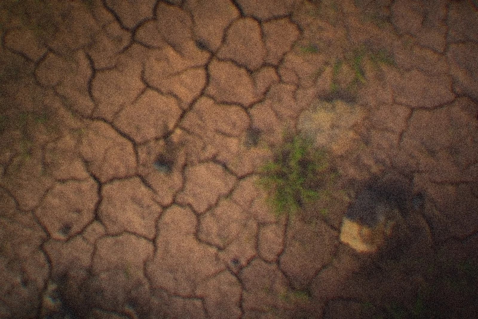 Cracked, dry drought-stricken earth with sparse green grass and a rock
