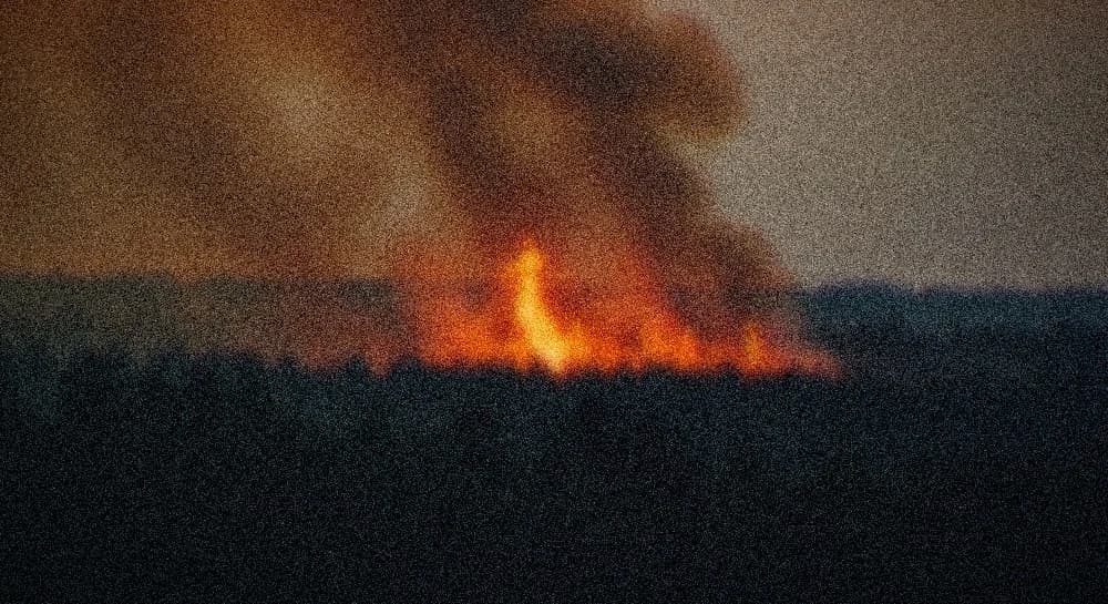 Forest wildfire at dusk, orange flames and thick smoke over a dark treeline silhouette