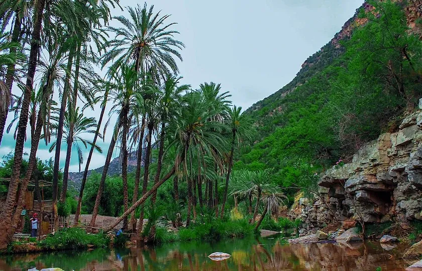 Retreat setting — palm valley